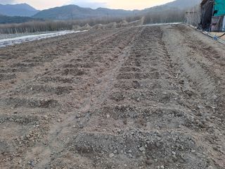 성실한 농부님의 자유주제 · 자유게시판 작성글 사진