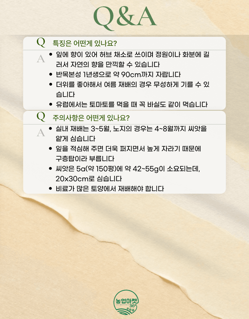 농업마켓365님의 장터 판매 상품 [농업마켓365 아시아종묘 바실 바질 스위트바실 3g 약 2000립 씨앗 종자 종묘 허브 텃밭 화분 주말농장 농사] 첨부 사진