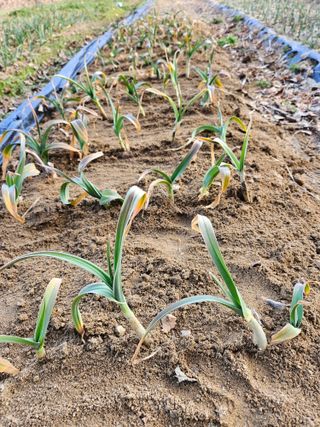 김용석님의 자유주제 · 자유게시판 작성글 사진