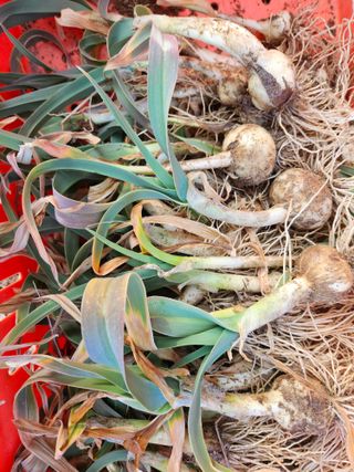 김용석님의 자유주제 · 자유게시판 작성글 사진