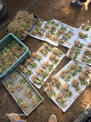 약초원 김종군님의 자유주제 · 자유게시판 작성글 사진