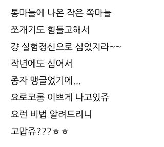 삼성농산님의 마늘 · 일상 작성글 사진
