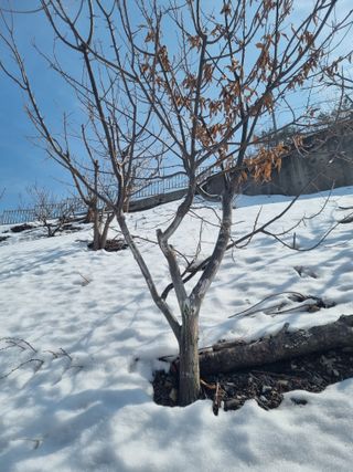 김용대님의 자유주제 · 자유게시판 작성글 사진