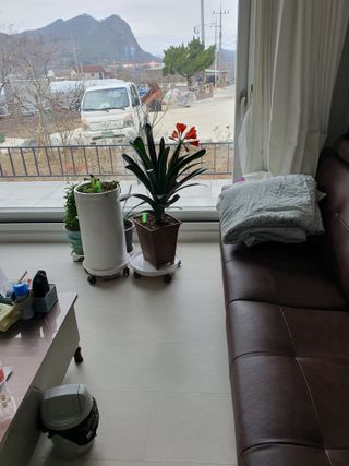 권기은님의 자유주제 · 자유게시판 작성글 사진