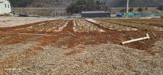 이종록님의 자유주제 · 자유게시판 작성글 사진