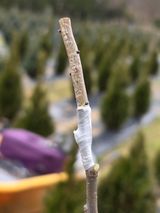 팜모닝 자유주제·자유게시판 게시글 이미지