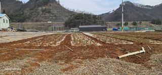 이종록님의 자유주제 · 자유게시판 작성글 사진