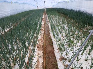 김성식님의 자유주제 · 자유게시판 작성글 사진