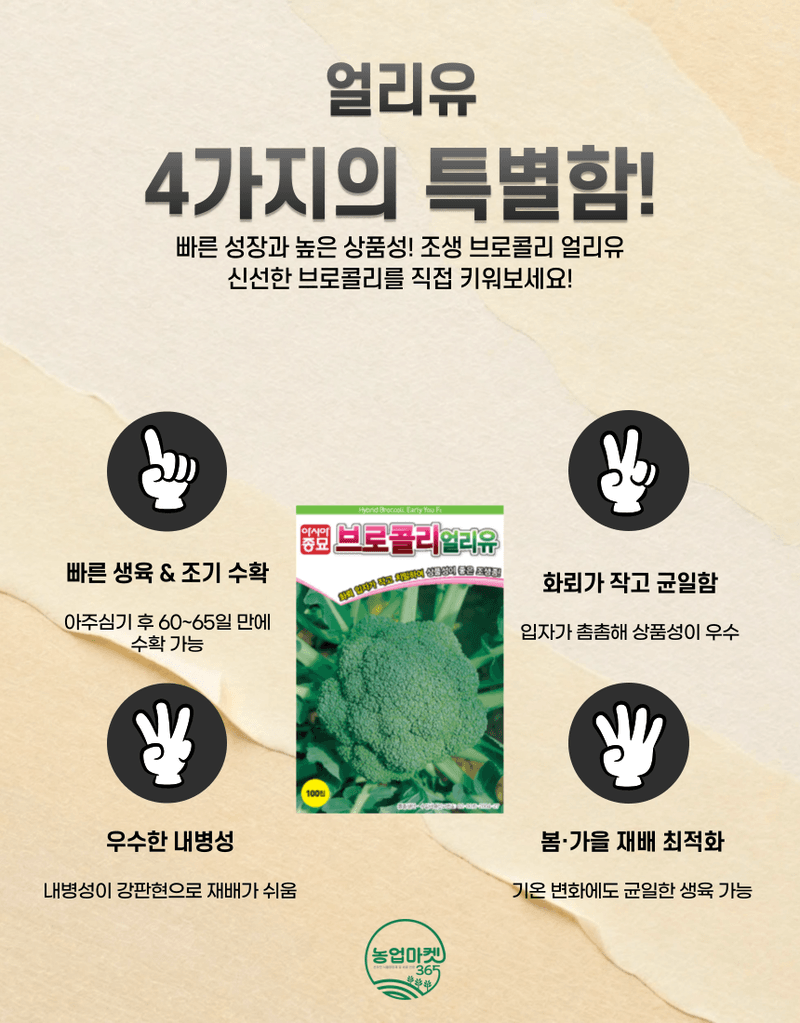 농업마켓365님의 장터 판매 상품 [농업마켓365 아시아종묘 브로콜리 얼리유 100립 씨앗 종자 종묘 조생종 텃밭 화분 주말농장 농사] 첨부 사진