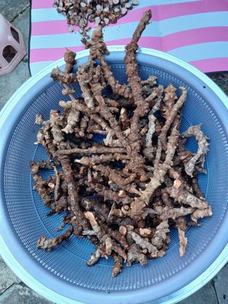 상원(尙沅)님의 자유주제 · 자유게시판 작성글 사진