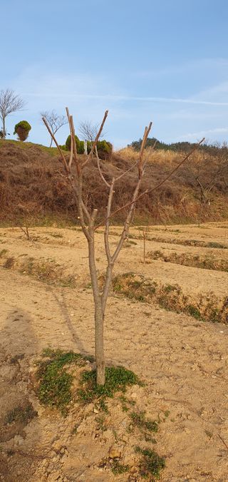 김영진님의 자유주제 · 자유게시판 작성글 사진