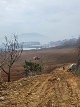 대산농사대장님의 감자·자유게시판 작성글 사진