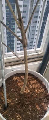 팜모닝 농사, 무엇이든 물어보세요!·참여글 게시글 이미지