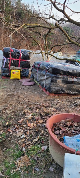 풀잎사랑님의 비료 보관 방법 공유해요 · 참여글 작성글 사진