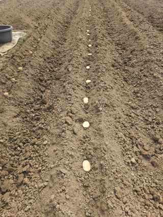 양파11283님의 자유주제 · 자유게시판 작성글 사진