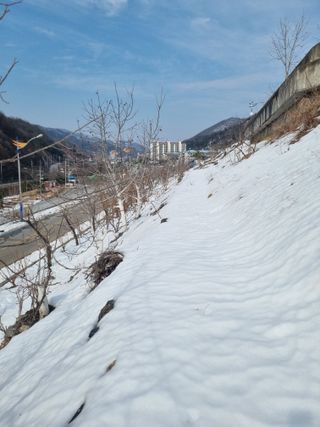 김용대님의 자유주제 · 자유게시판 작성글 사진