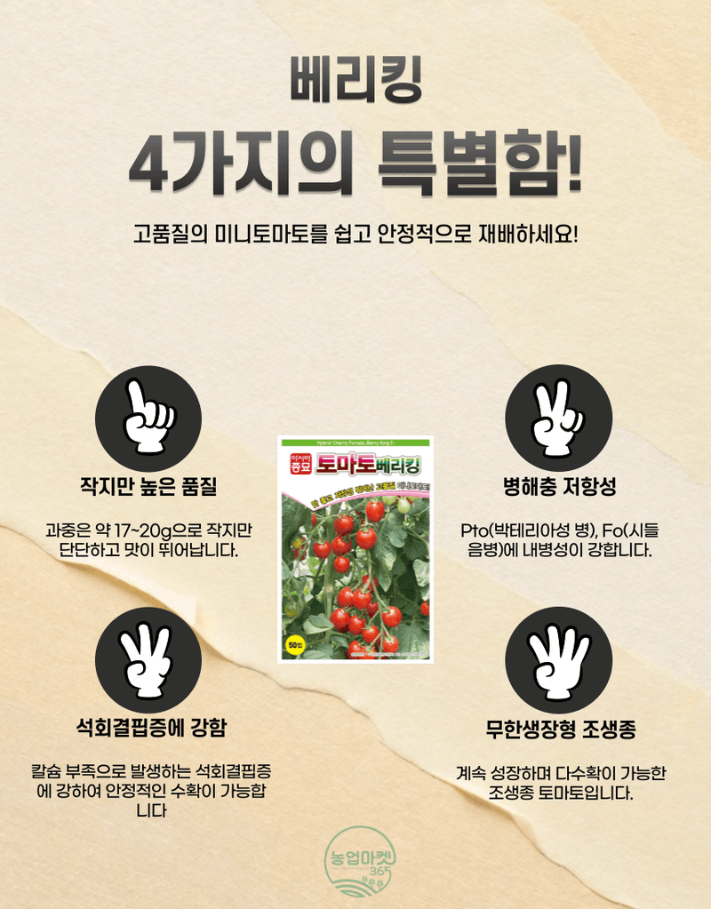 농업마켓365님의 장터 판매 상품 [농업마켓365 아시아종묘 미니토마토 토마토베리킹 50립 씨앗 종자 종묘 텃밭 주말농장 농사 야채 채소 방울토마토 ] 첨부 사진