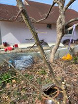 팜모닝 자유주제·자유게시판 게시글 이미지