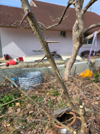 김희영님의 자유주제 · 자유게시판 작성글 사진