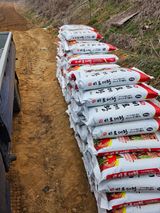 대산농사대장님의 감자·자유게시판 작성글 사진