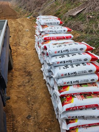 대산농사대장님의 감자 · 자유게시판 작성글 사진