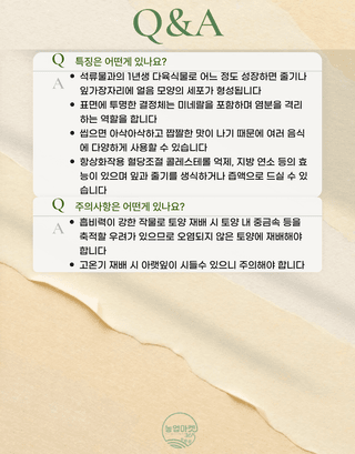 농업마켓365님의 작성글 사진