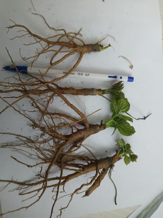 김종덕님의 작성글 사진