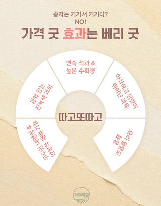 농업마켓365님의 작성글 사진