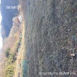 팜모닝 자유주제·자유게시판 게시글 이미지