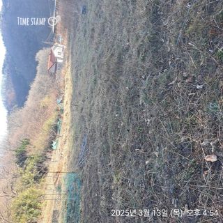 이말분님의 자유주제 · 자유게시판 작성글 사진