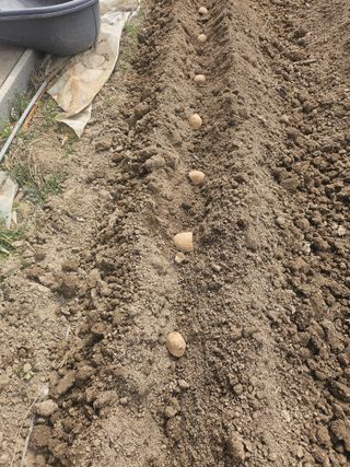 양파11283님의 자유주제 · 자유게시판 작성글 사진