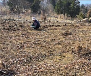 나도농부님의 자유주제 · 자유게시판 작성글 사진