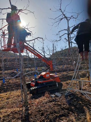 오임돈님의 자유주제 · 자유게시판 작성글 사진
