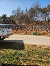 팜모닝 자유주제·자유게시판 게시글 이미지