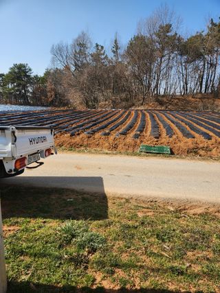 이대석님의 자유주제 · 자유게시판 작성글 사진