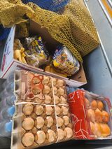 팜모닝 자유주제·자유게시판 게시글 이미지