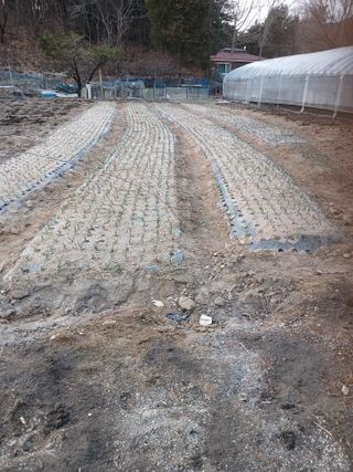 전국하님의 자유주제 · 자유게시판 작성글 사진