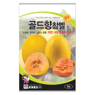 팜모닝 상점님의 작성글 사진