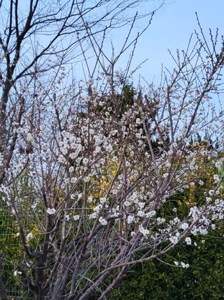식만동 복합영농님의 자유주제 · 자유게시판 작성글 사진