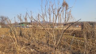 양파7337님의 자유주제 · 자유게시판 작성글 사진