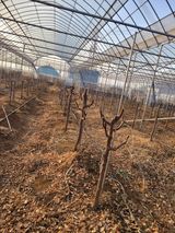 팜모닝 자유주제·자유게시판 게시글 이미지