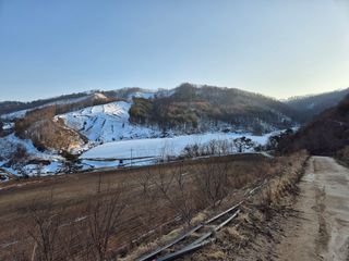 이금범님의 감자심기 하셨나요? · 참여글 작성글 사진