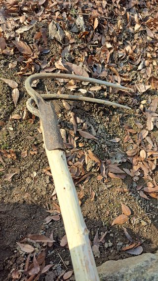 나도농부님의 자유주제 · 자유게시판 작성글 사진