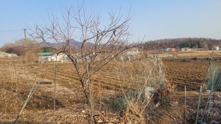 양파7337님의 자유주제 · 자유게시판 작성글 사진