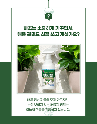 농업마켓365님의 작성글 사진