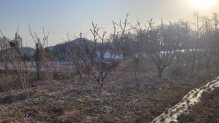 양파7337님의 자유주제 · 자유게시판 작성글 사진