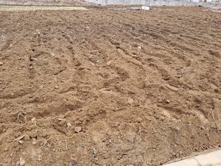 서상기 은퇴농장님의 자유주제 · 자유게시판 작성글 사진