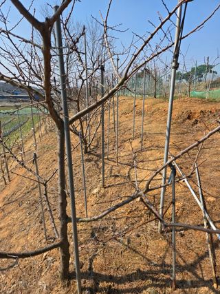 자연인님의 자유주제 · 자유게시판 작성글 사진