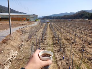 알 수 없음님의 자유주제 · 자유게시판 작성글 사진