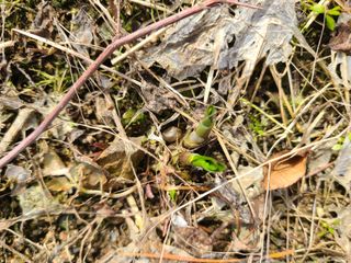 이박농장님의 자유주제 · 자유게시판 작성글 사진